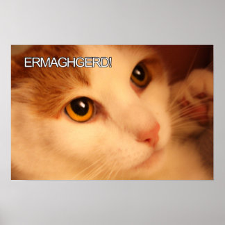 Poster de chat Ermahgerd Cute Orange