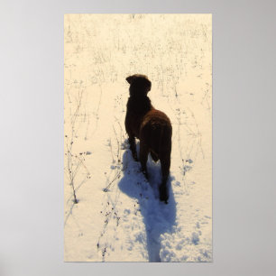 Poster de Chessie