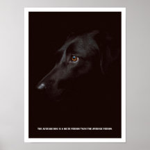 Poster de chien noir