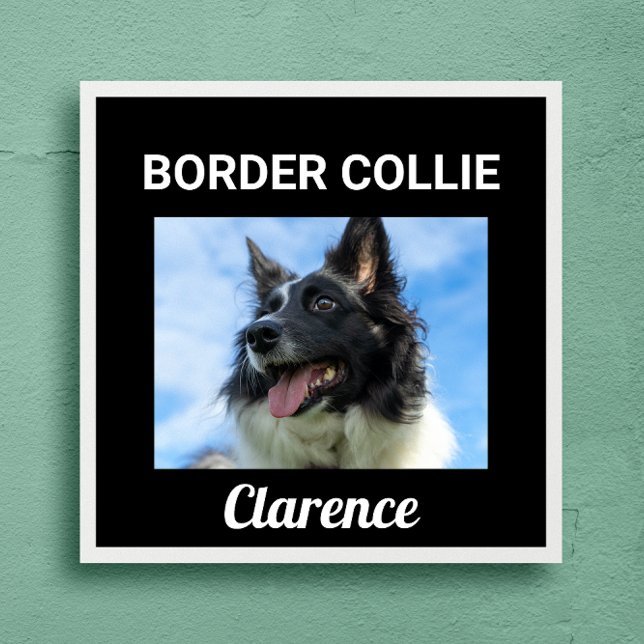 Poster de chien personnalisé Collie Bordure (Créateur téléchargé)