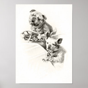Poster de chien vintage