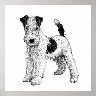 Poster de chien / Wall Art Fox Terrier