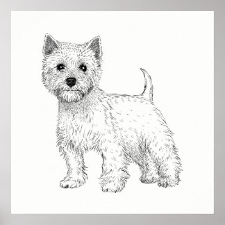 Poster de chien / Wall Art West Highland Terrier