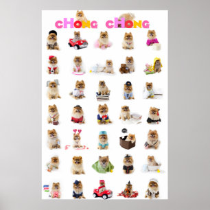 Poster de Chong Chong