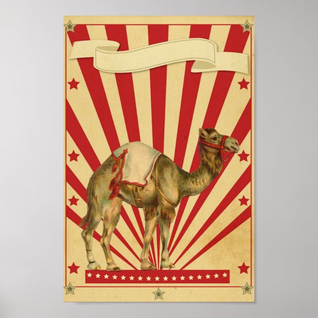 Poster de cirque personnalisé (Devant)