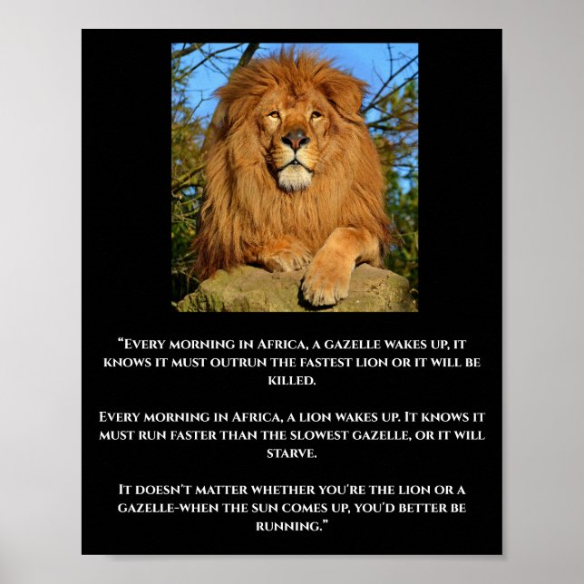 Poster de citation africaine Lion & Gazelle (Devant)