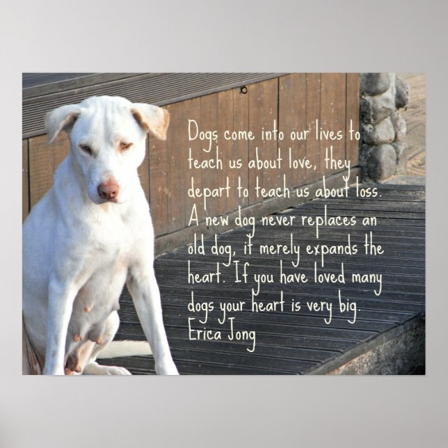 Poster de citation de chien - Erica Jong (Devant)