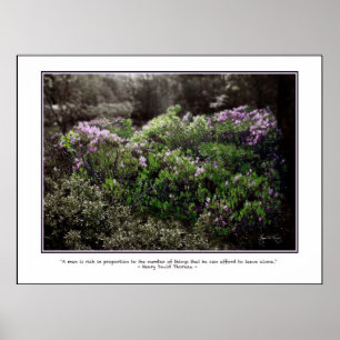 Poster de citation Thoreau - Sheep Laurel