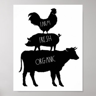 Poster de cochon de cochon de coq frais de ferme