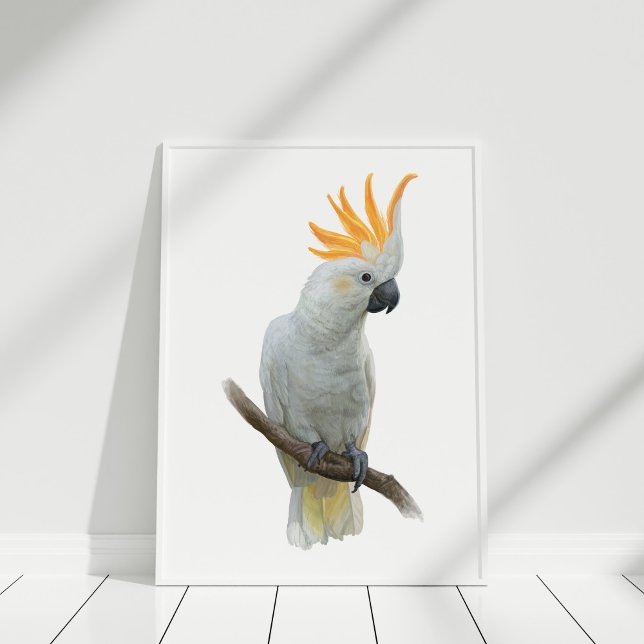 Poster de Cockatosa dessiné à la main blanche (White Hand drawn Cockatoo Poster in white frame)