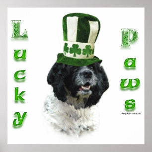 Poster de Cocker Spaniel Lucky Paws