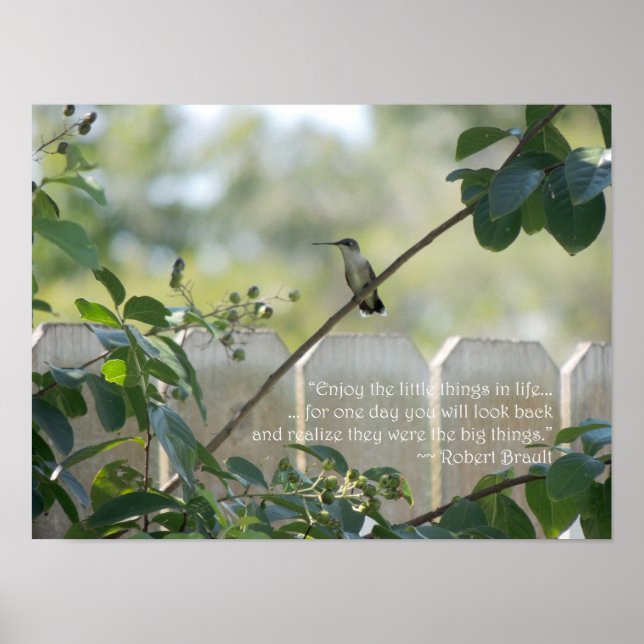 Poster de colibri avec la citation "Little Things" (Devant)