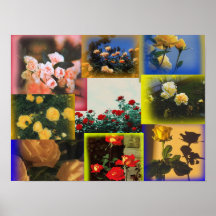 Poster de collage Rose sauvage