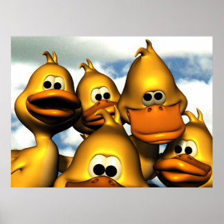 Poster de collecte de canards