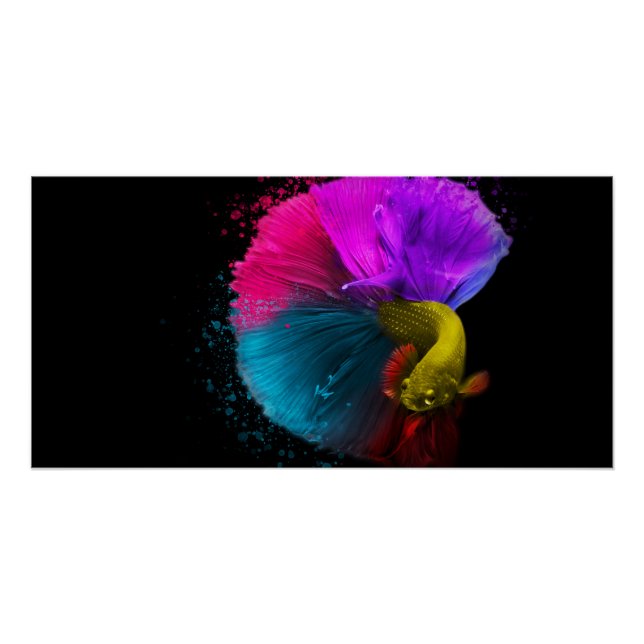 Poster de Combat Fish (Devant)