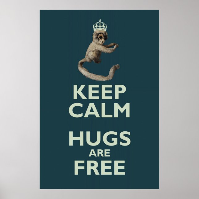 Poster de Copernicus-le-singe homicide (Devant)