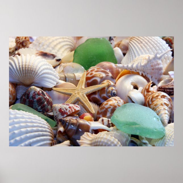Poster de coquillages, Starfish & Beach Glass (Devant)
