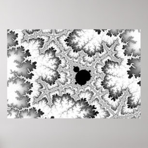 Poster de corail noir