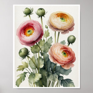 Poster de couleur de l'eau artisanale Fleurs Ranun