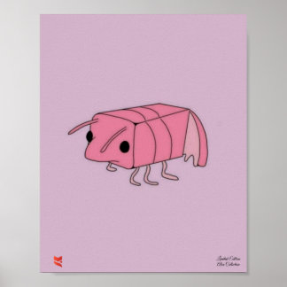 Poster de crevettes Limitée
