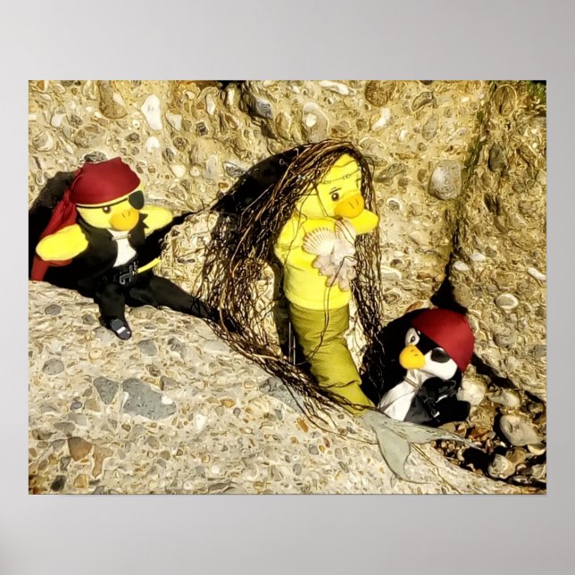 Poster de Danni, la sirène et les pirates (Devant)