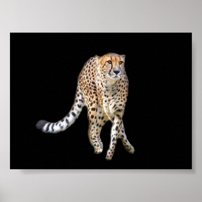 Poster de danse (Devant)