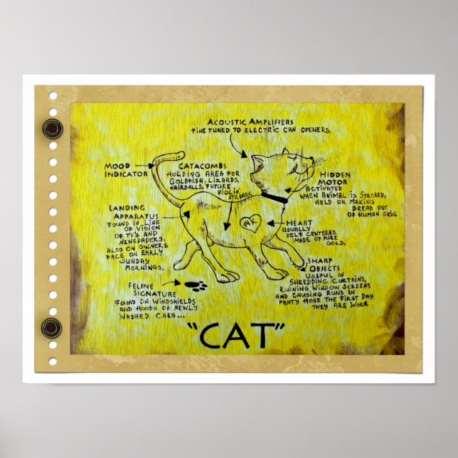 Poster de description CAT amusant! (Devant)