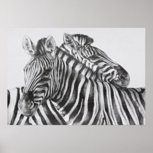 Poster de dessin au crayon original Zebra