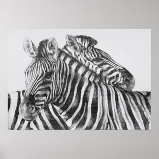 Poster de dessin au crayon original Zebra