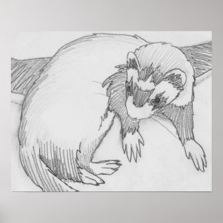 Poster de dessin de "bébé" Ferret