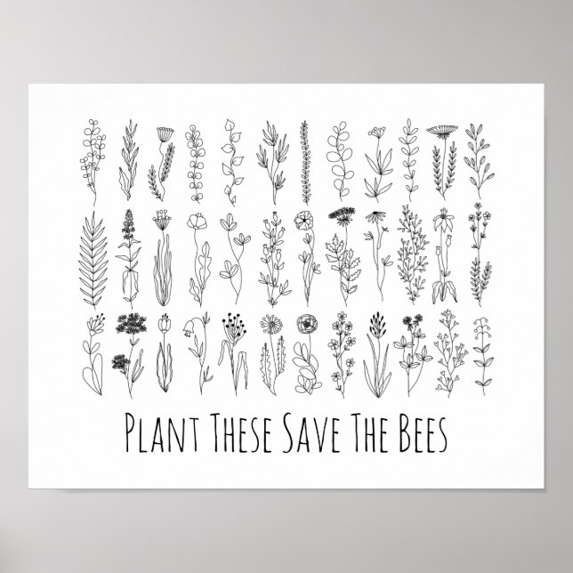 Poster De Dessin De Fleurs Et Herbes D'Encre (Devant)