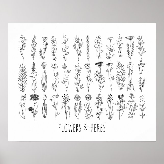 Poster De Dessin De Fleurs Et Herbes D'Encre (Devant)