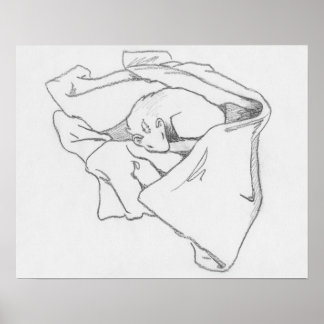 Poster de dessin de furet "Dragon dormant"