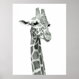 Poster de dessin de girafe
