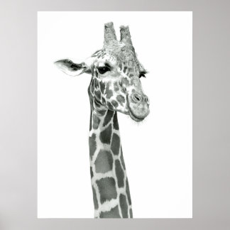 Poster de dessin de girafe