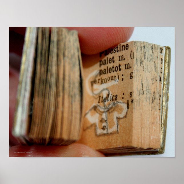 Poster de dessin de la veste de livre miniature Di (Devant)