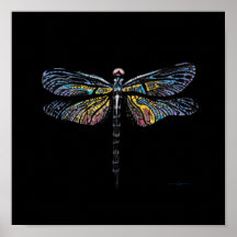 Poster de dessin de stylo dragonfly