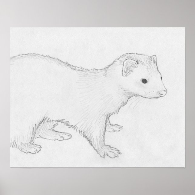 Poster de dessin de "Theo" Ferret (Devant)