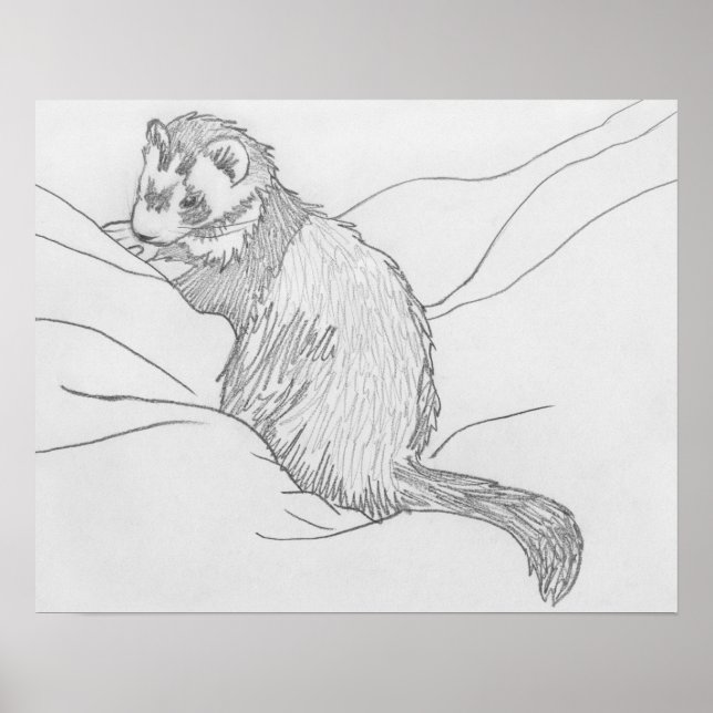 Poster de dessin "Grouch" Ferret (Devant)