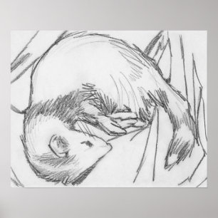 Poster de dessin "Stripe"