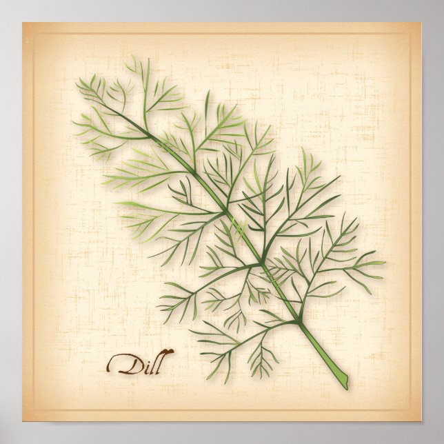 Poster de Dill Herb (Devant)