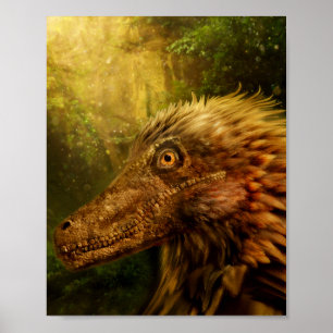 Poster de Dinosaure Velociraptor plumes