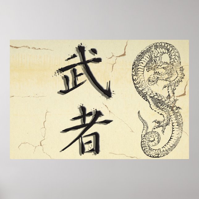 Poster de Dragon Warrior (Devant)