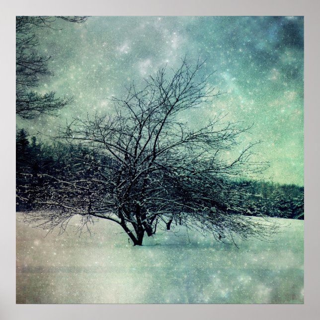 Poster de Dusk (Devant)