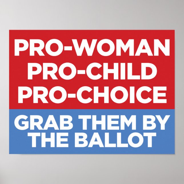 Poster de fenêtre Pro-Woman Pro-Child Pro-Choice 1 (Devant)