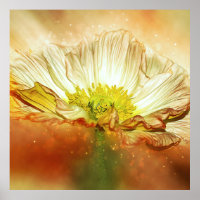 Poster de fleurs de coquelicot jaune