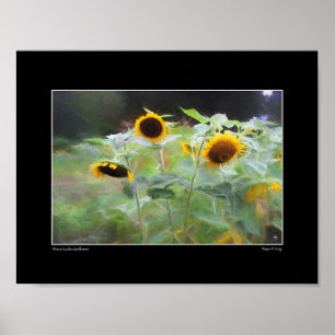 Poster de fleurs de soleil Winsor Garden