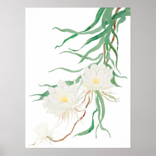 poster de fleurs d'épiphyllum blanc