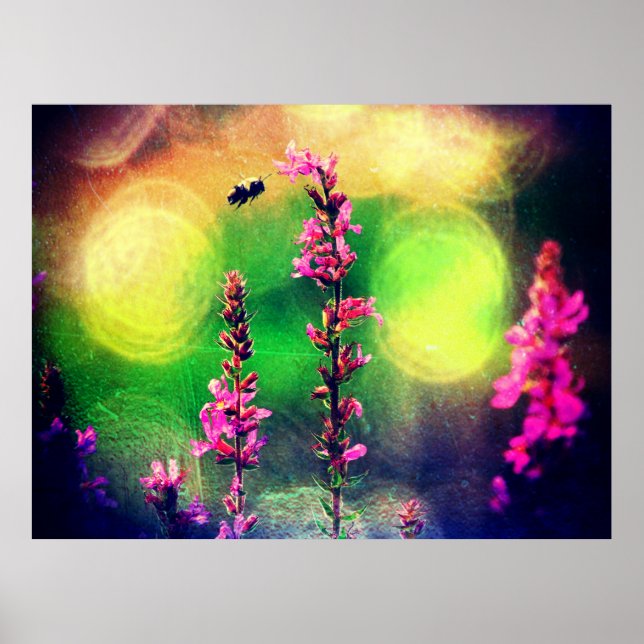 Poster de fleurs roses N Bee Yellow Bokah (Devant)