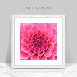 Poster de fleurs roses rapprochées